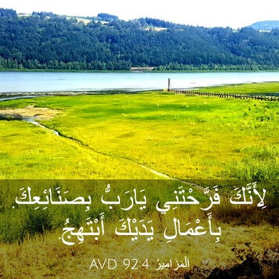 Picture 03 - اَلْمَزَامِيرُ 92:4 AVD - لِأَنَّكَ فَرَّحْتَنِي - Bible Verse Picture