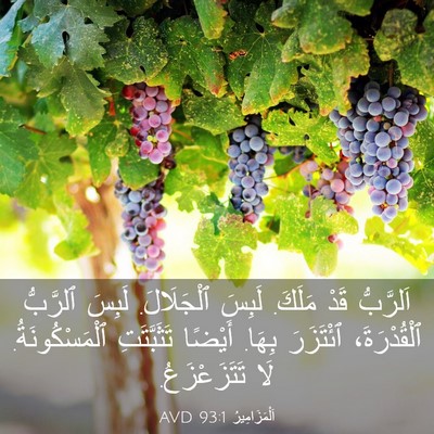 Picture 03 - اَلْمَزَامِيرُ 93:1 AVD - اَلرَّبُّ قَدْ مَلَكَ. - Bible Verse Picture