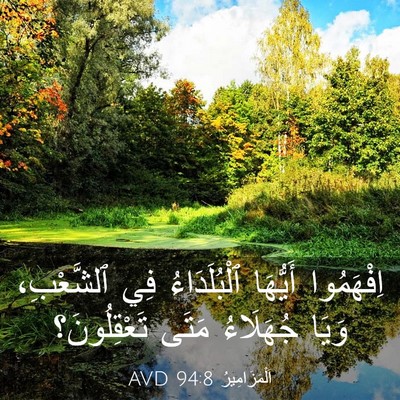 Picture 03 - اَلْمَزَامِيرُ 94:8 AVD - اِفْهَمُوا أَيُّهَا - Bible Verse Picture