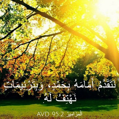 Picture 03 - اَلْمَزَامِيرُ 95:2 AVD - نَتَقَدَّمُ أَمَامَهُ - Bible Verse Picture
