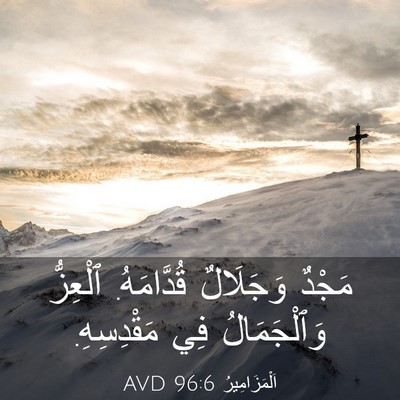 Picture 03 - اَلْمَزَامِيرُ 96:6 AVD - مَجْدٌ وَجَلَالٌ - Bible Verse Picture