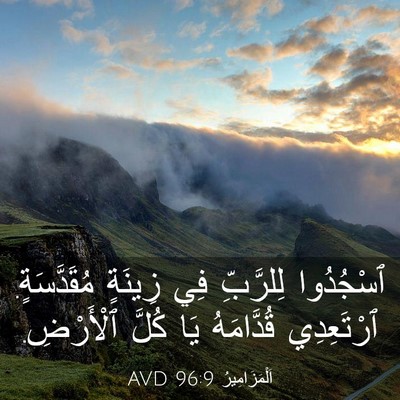 Picture 03 - اَلْمَزَامِيرُ 96:9 AVD - ٱسْجُدُوا لِلرَّبِّ فِي - Bible Verse Picture
