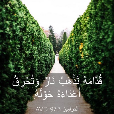 Picture 03 - اَلْمَزَامِيرُ 97:3 AVD - قُدَّامَهُ تَذْهَبُ نَارٌ - Bible Verse Picture