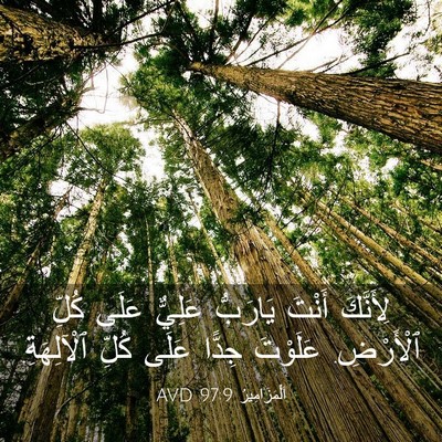 Picture 03 - اَلْمَزَامِيرُ 97:9 AVD - لِأَنَّكَ أَنْتَ يَارَبُّ - Bible Verse Picture