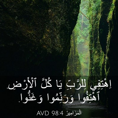 Picture 03 - اَلْمَزَامِيرُ 98:4 AVD - اِهْتِفِي لِلرَّبِّ يَا - Bible Verse Picture