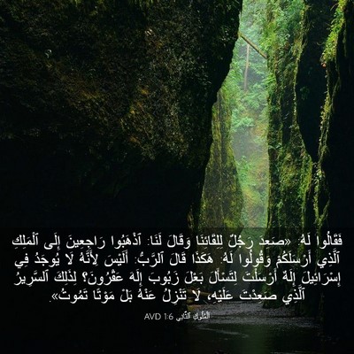 Picture 03 - اَلْمُلُوكِ ٱلثَّانِي 1:6 AVD - فَقَالُوا لَهُ: «صَعِدَ - Bible Verse Picture