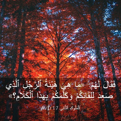 Picture 03 - اَلْمُلُوكِ ٱلثَّانِي 1:7 AVD - فَقَالَ لَهُمْ: «مَا هِيَ - Bible Verse Picture