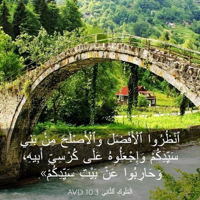 Picture 03 - اَلْمُلُوكِ ٱلثَّانِي 10:3 AVD - ٱنْظُرُوا ٱلْأَفْضَلَ - Bible Verse Picture