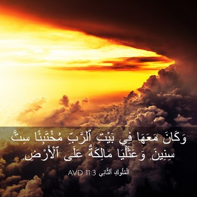 Picture 03 - اَلْمُلُوكِ ٱلثَّانِي 11:3 AVD - وَكَانَ مَعَهَا فِي بَيْتِ - Bible Verse Picture
