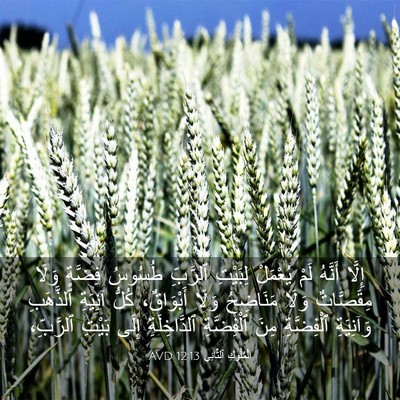 Picture 03 - اَلْمُلُوكِ ٱلثَّانِي 12:13 AVD - إِلَّا أَنَّهُ لَمْ - Bible Verse Picture
