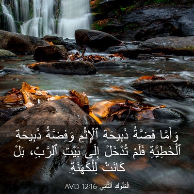 Picture 03 - اَلْمُلُوكِ ٱلثَّانِي 12:16 AVD - وَأَمَّا فِضَّةُ - Bible Verse Picture