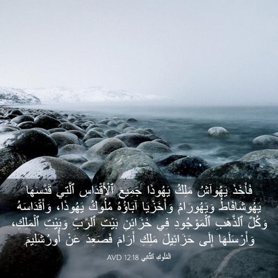 Picture 03 - اَلْمُلُوكِ ٱلثَّانِي 12:18 AVD - فَأَخَذَ يَهُوآشُ مَلِكُ - Bible Verse Picture