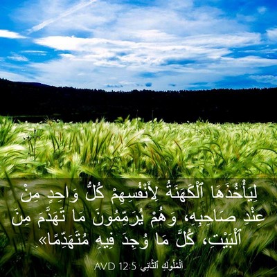 Picture 03 - اَلْمُلُوكِ ٱلثَّانِي 12:5 AVD - لِيَأْخُذَهَا ٱلْكَهَنَةُ - Bible Verse Picture