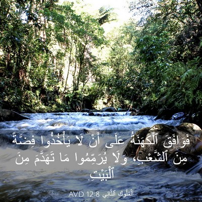 Picture 03 - اَلْمُلُوكِ ٱلثَّانِي 12:8 AVD - فَوَافَقَ ٱلْكَهَنَةُ - Bible Verse Picture