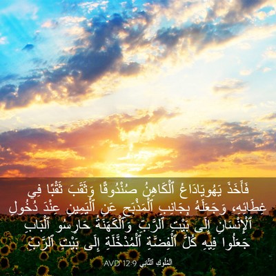 Picture 03 - اَلْمُلُوكِ ٱلثَّانِي 12:9 AVD - فَأَخَذَ يَهُويَادَاعُ - Bible Verse Picture