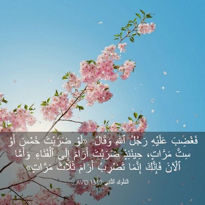Picture 03 - اَلْمُلُوكِ ٱلثَّانِي 13:19 AVD - فَغَضِبَ عَلَيْهِ رَجُلُ - Bible Verse Picture