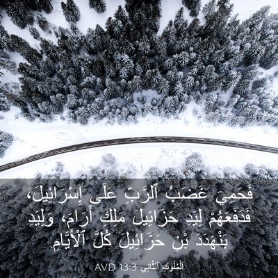 Picture 03 - اَلْمُلُوكِ ٱلثَّانِي 13:3 AVD - فَحَمِيَ غَضَبُ ٱلرَّبِّ - Bible Verse Picture