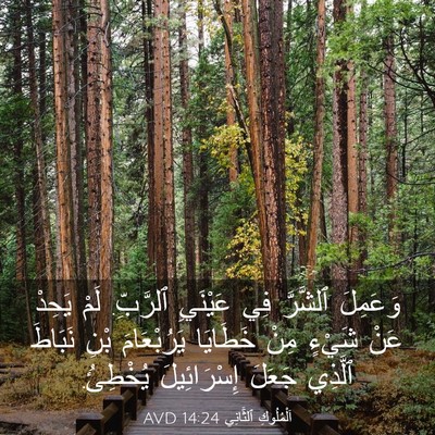 Picture 03 - اَلْمُلُوكِ ٱلثَّانِي 14:24 AVD - وَعَمِلَ ٱلشَّرَّ فِي - Bible Verse Picture
