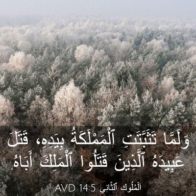Picture 03 - اَلْمُلُوكِ ٱلثَّانِي 14:5 AVD - وَلَمَّا تَثَبَّتَتِ - Bible Verse Picture