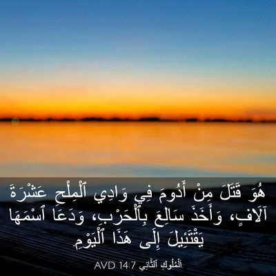 Picture 03 - اَلْمُلُوكِ ٱلثَّانِي 14:7 AVD - هُوَ قَتَلَ مِنْ أَدُومَ - Bible Verse Picture