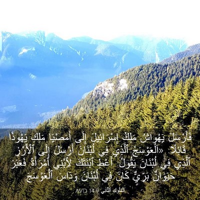 Picture 03 - اَلْمُلُوكِ ٱلثَّانِي 14:9 AVD - فَأَرْسَلَ يَهُوآشُ - Bible Verse Picture