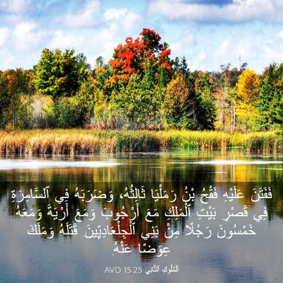Picture 03 - اَلْمُلُوكِ ٱلثَّانِي 15:25 AVD - فَفَتَنَ عَلَيْهِ فَقْحُ - Bible Verse Picture