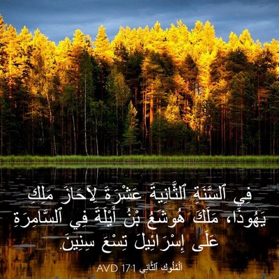 Picture 03 - اَلْمُلُوكِ ٱلثَّانِي 17:1 AVD - فِي ٱلسَّنَةِ ٱلثَّانِيةَ - Bible Verse Picture