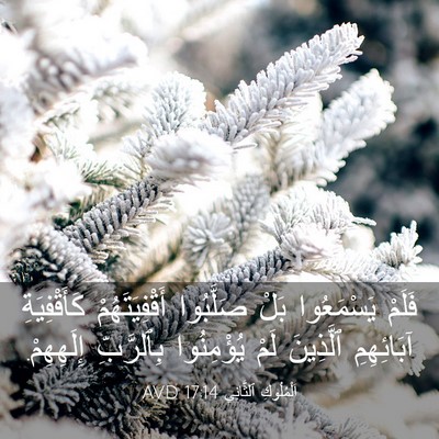 Picture 03 - اَلْمُلُوكِ ٱلثَّانِي 17:14 AVD - فَلَمْ يَسْمَعُوا بَلْ - Bible Verse Picture