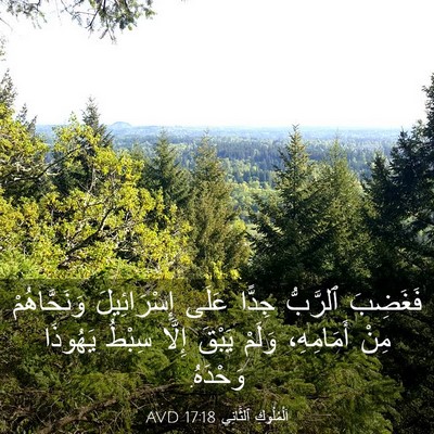 Picture 03 - اَلْمُلُوكِ ٱلثَّانِي 17:18 AVD - فَغَضِبَ ٱلرَّبُّ جِدًّا - Bible Verse Picture