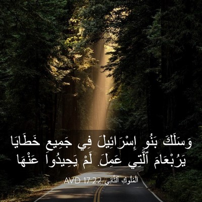 Picture 03 - اَلْمُلُوكِ ٱلثَّانِي 17:22 AVD - وَسَلَكَ بَنُو - Bible Verse Picture