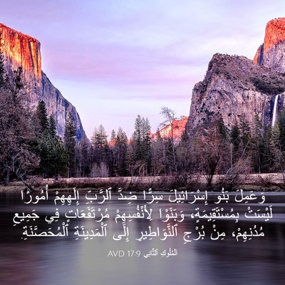 Picture 03 - اَلْمُلُوكِ ٱلثَّانِي 17:9 AVD - وَعَمِلَ بَنُو - Bible Verse Picture