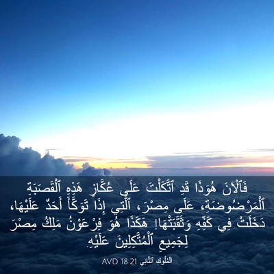 Picture 03 - اَلْمُلُوكِ ٱلثَّانِي 18:21 AVD - فَٱلْآنَ هُوَذَا قَدِ - Bible Verse Picture