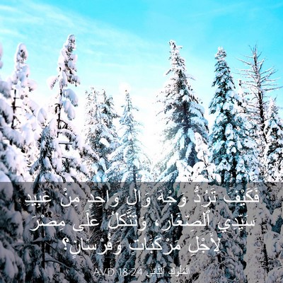 Picture 03 - اَلْمُلُوكِ ٱلثَّانِي 18:24 AVD - فَكَيْفَ تَرُدُّ وَجْهَ - Bible Verse Picture