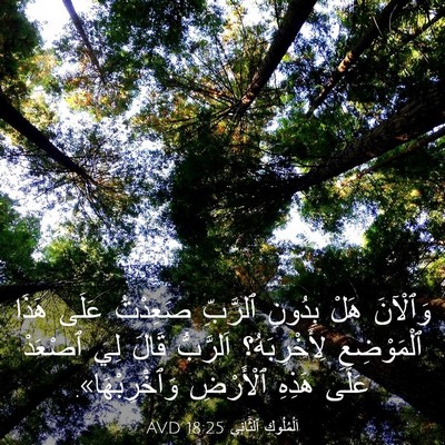 Picture 03 - اَلْمُلُوكِ ٱلثَّانِي 18:25 AVD - وَٱلْآنَ هَلْ بِدُونِ - Bible Verse Picture