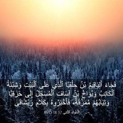 Picture 03 - اَلْمُلُوكِ ٱلثَّانِي 18:37 AVD - فَجَاءَ أَلِيَاقِيمُ بْنُ - Bible Verse Picture