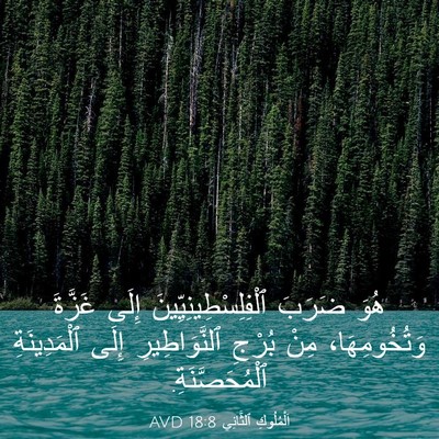 Picture 03 - اَلْمُلُوكِ ٱلثَّانِي 18:8 AVD - هُوَ ضَرَبَ - Bible Verse Picture