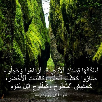 Picture 03 - اَلْمُلُوكِ ٱلثَّانِي 19:26 AVD - فَسُكَّانُهَا قِصَارُ - Bible Verse Picture
