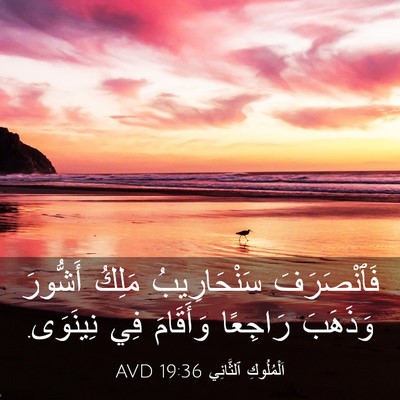 Picture 03 - اَلْمُلُوكِ ٱلثَّانِي 19:36 AVD - فَٱنْصَرَفَ سَنْحَارِيبُ - Bible Verse Picture