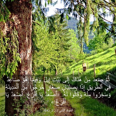 Picture 03 - اَلْمُلُوكِ ٱلثَّانِي 2:23 AVD - ثُمَّ صَعِدَ مِنْ هُنَاكَ - Bible Verse Picture
