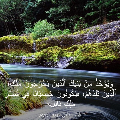 Picture 03 - اَلْمُلُوكِ ٱلثَّانِي 20:18 AVD - وَيُؤْخَذُ مِنْ بَنِيكَ - Bible Verse Picture