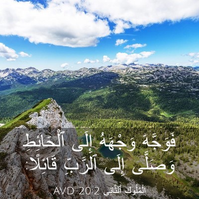Picture 03 - اَلْمُلُوكِ ٱلثَّانِي 20:2 AVD - فَوَجَّهَ وَجْهَهُ إِلَى - Bible Verse Picture