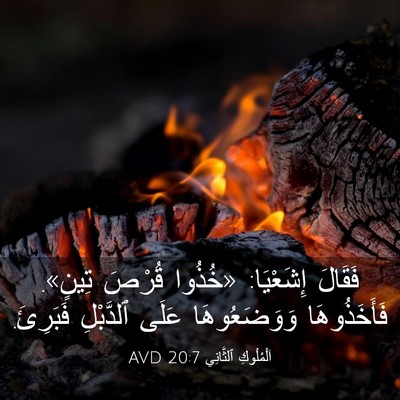 Picture 03 - اَلْمُلُوكِ ٱلثَّانِي 20:7 AVD - فَقَالَ إِشَعْيَا: «خُذُوا - Bible Verse Picture