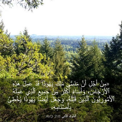Picture 03 - اَلْمُلُوكِ ٱلثَّانِي 21:11 AVD - «مِنْ أَجْلِ أَنَّ - Bible Verse Picture