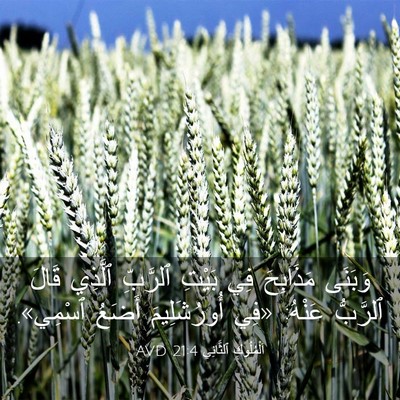 Picture 03 - اَلْمُلُوكِ ٱلثَّانِي 21:4 AVD - وَبَنَى مَذَابِحَ فِي - Bible Verse Picture
