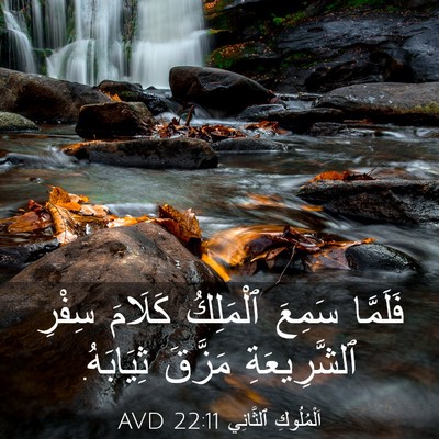 Picture 03 - اَلْمُلُوكِ ٱلثَّانِي 22:11 AVD - فَلَمَّا سَمِعَ ٱلْمَلِكُ - Bible Verse Picture