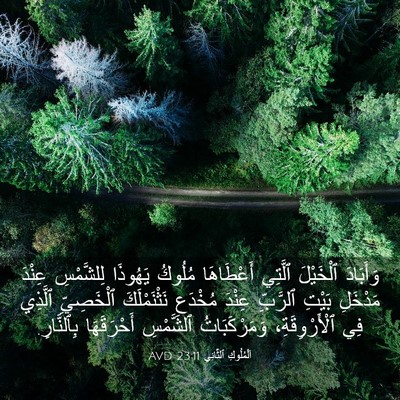 Picture 03 - اَلْمُلُوكِ ٱلثَّانِي 23:11 AVD - وَأَبَادَ ٱلْخَيْلَ - Bible Verse Picture