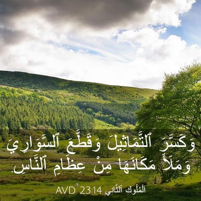 Picture 03 - اَلْمُلُوكِ ٱلثَّانِي 23:14 AVD - وَكَسَّرَ ٱلتَّمَاثِيلَ - Bible Verse Picture