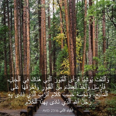 Picture 03 - اَلْمُلُوكِ ٱلثَّانِي 23:16 AVD - وَٱلْتَفَتَ يُوشِيَّا - Bible Verse Picture