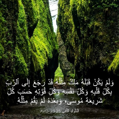 Picture 03 - اَلْمُلُوكِ ٱلثَّانِي 23:25 AVD - وَلَمْ يَكُنْ قَبْلَهُ - Bible Verse Picture
