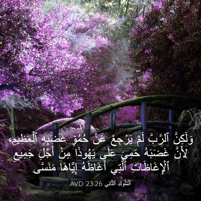 Picture 03 - اَلْمُلُوكِ ٱلثَّانِي 23:26 AVD - وَلَكِنَّ ٱلرَّبَّ لَمْ - Bible Verse Picture